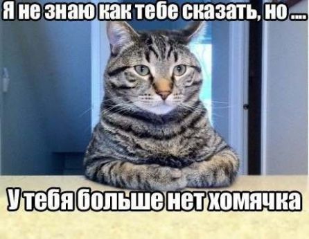 Новые приколы 2012-2013 _313