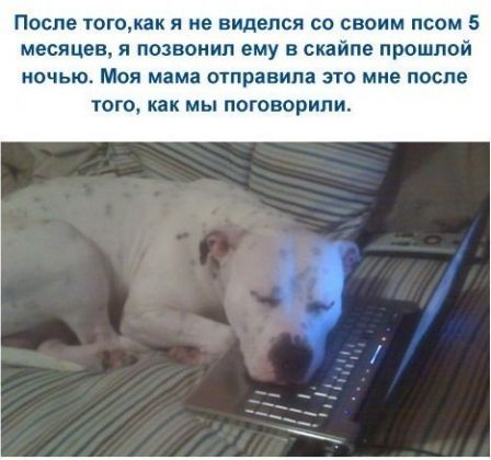 Новые приколы 2012-2013 _298