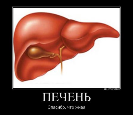 Демотиваторы 2012 _97