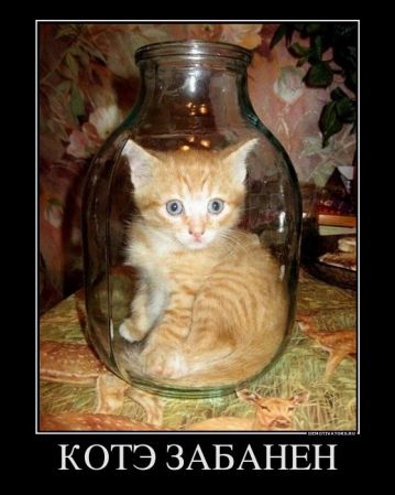 Котэ забанен
