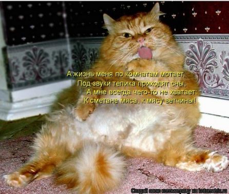 Фото приколы 2012 _120