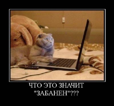 Демотиваторы онлайн Игр40