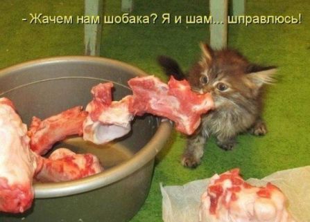 Новые приколы 2012-2013 _293