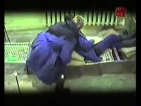 Вся правда о  женской тюрьме