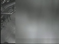 Surveillance video of suspected subway shover