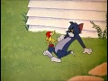 TOM and JERRY. Том и Джерри. 14 Охота на птичку